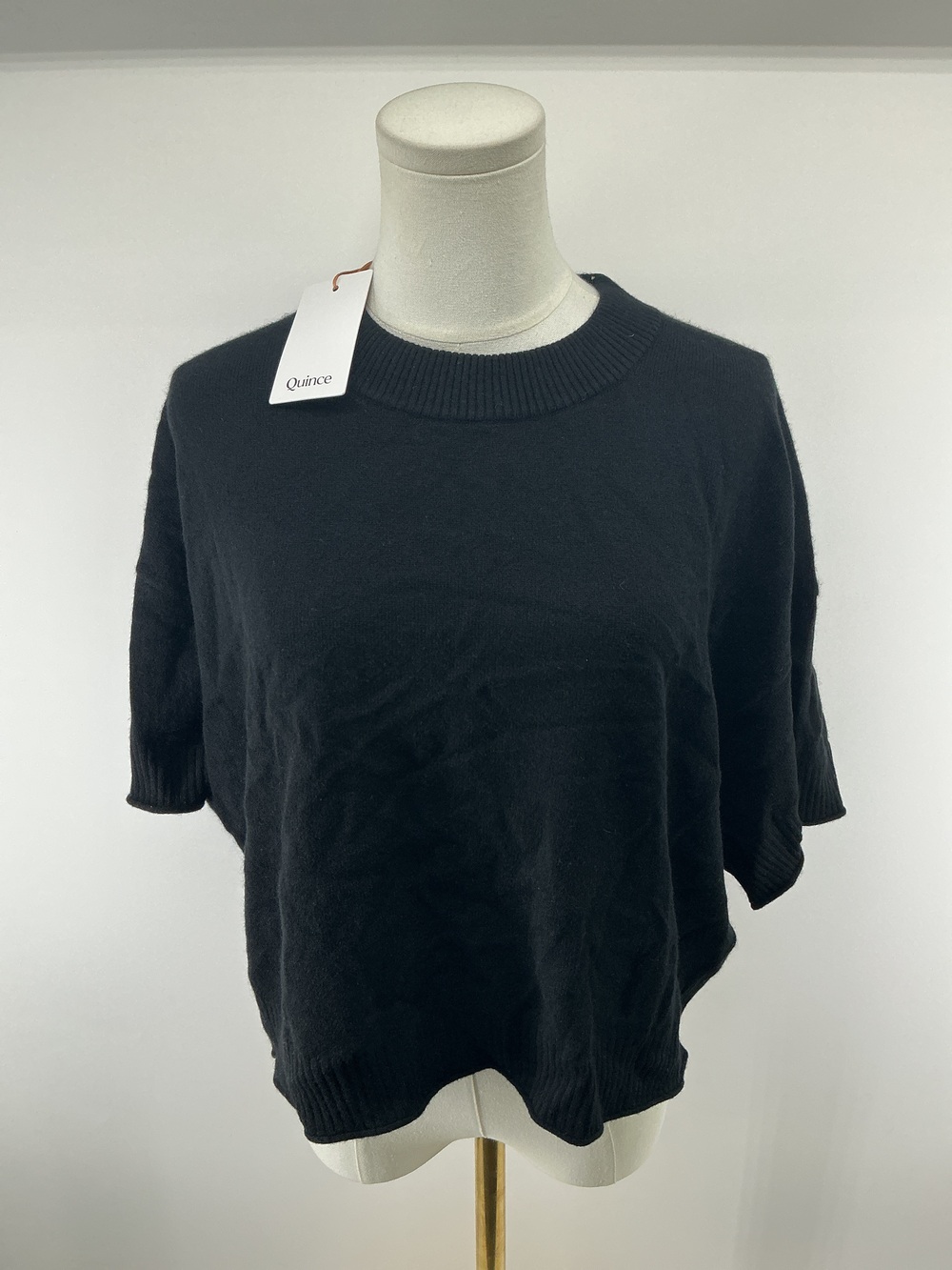 Mongolian Cashmere Cropped Oversized Tee